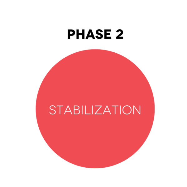 Phase 2 - Protocol Coaching Vital Body $455
